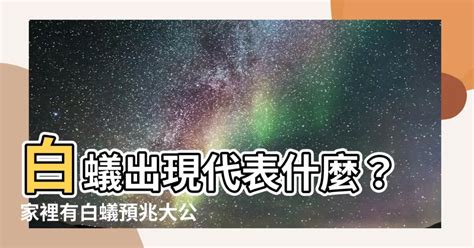 白蟻 出現 代表 什麼 風水|白蟻出現代表什麼？白蟻該如何根治？震陞除蟲專家推。